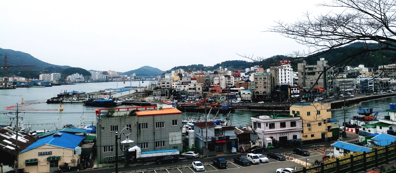 통영항 풍경