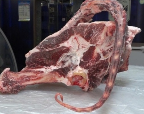 전현무계획-영등포-방치탕-꼬리곰탕