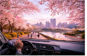 서울 벚꽃 드라이브 코스