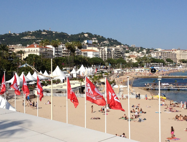 세계 국제 영화제에 대하여
