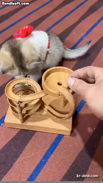 img.webp?credential=yqXZFxpELC7KVnFOS48ylbz2pIh7yKj8&expires=1767193199&allow_ip=&allow_referer=&signature=hPJG2EGYTK%2B9PCb1rZb111T3OUg%3D