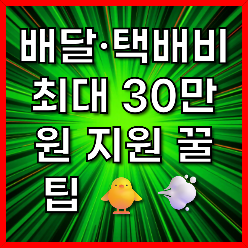 배달·택배비 최대 30만 원 지원 꿀팁 🐥💨