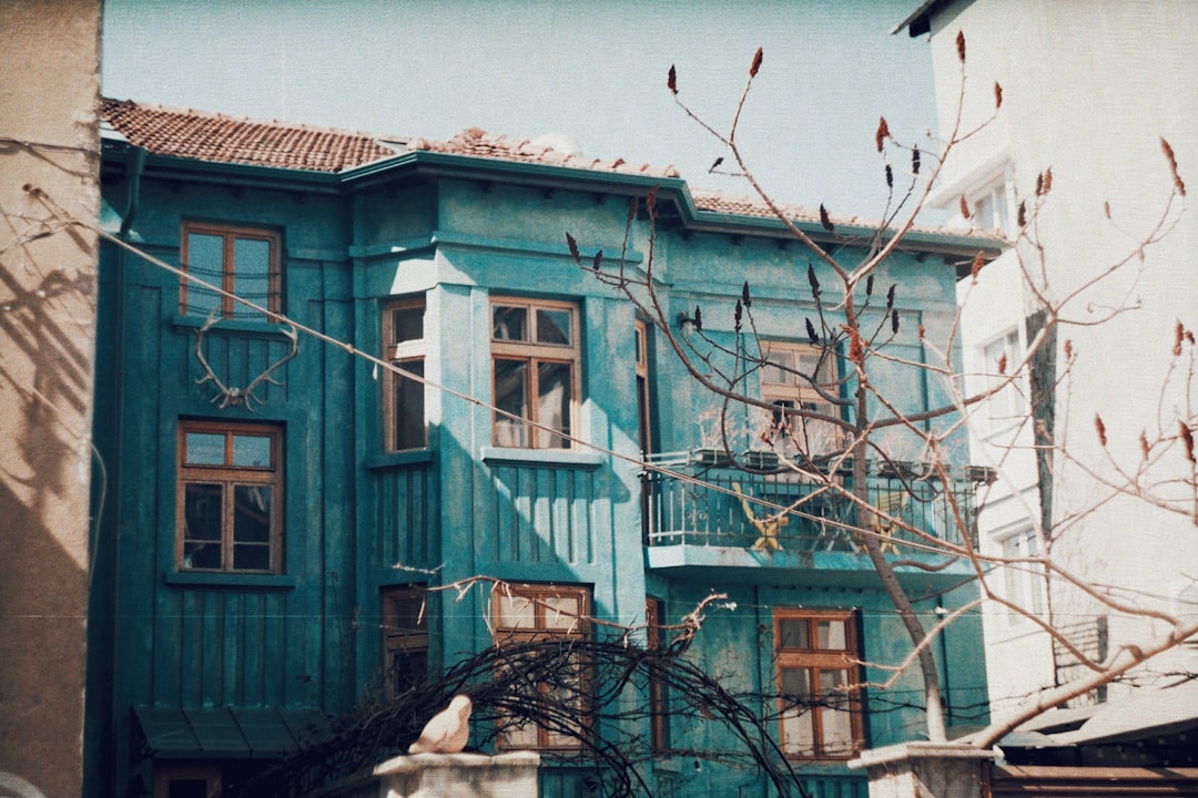 Blue House