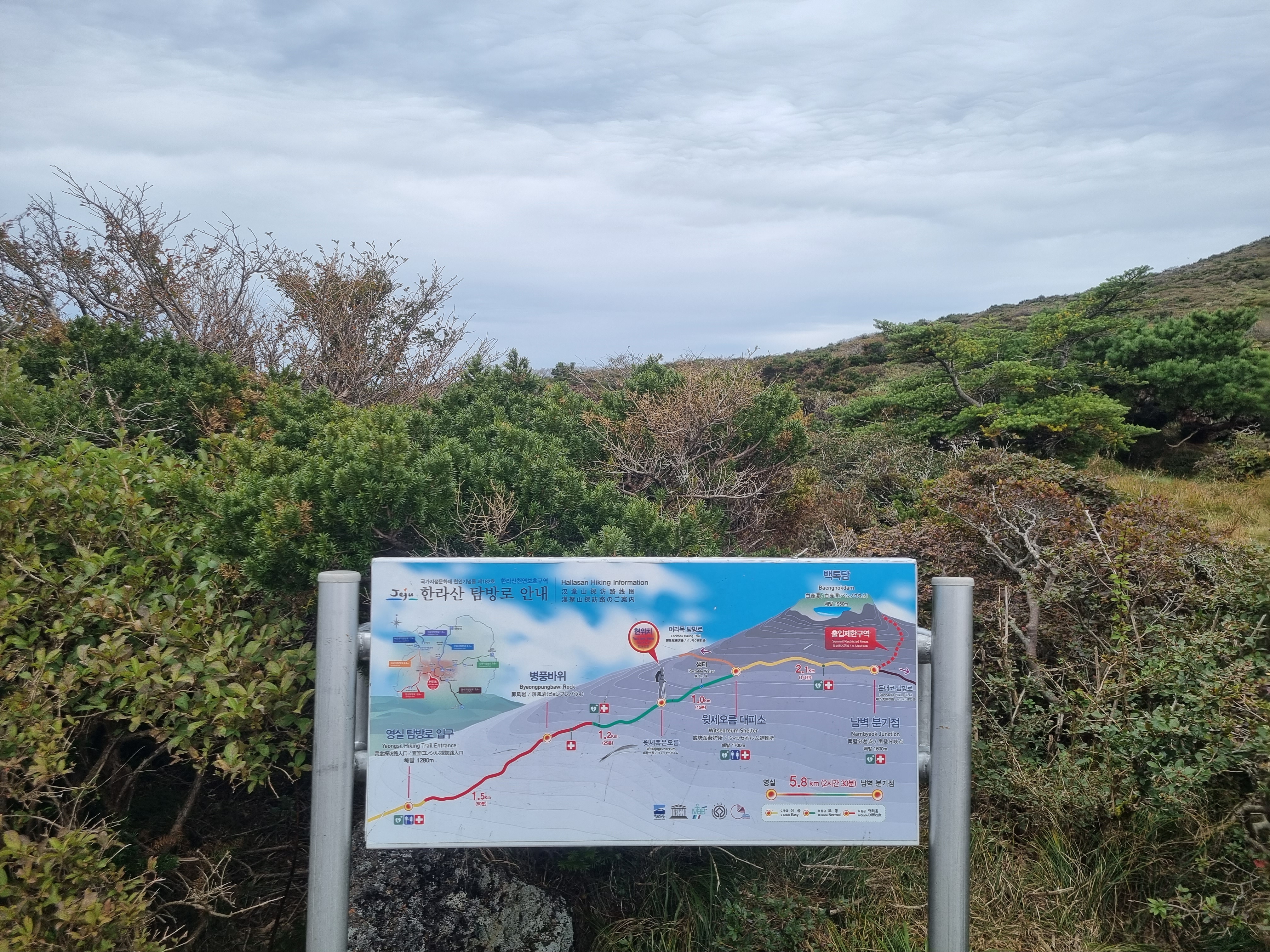 윗세오름 영실코스