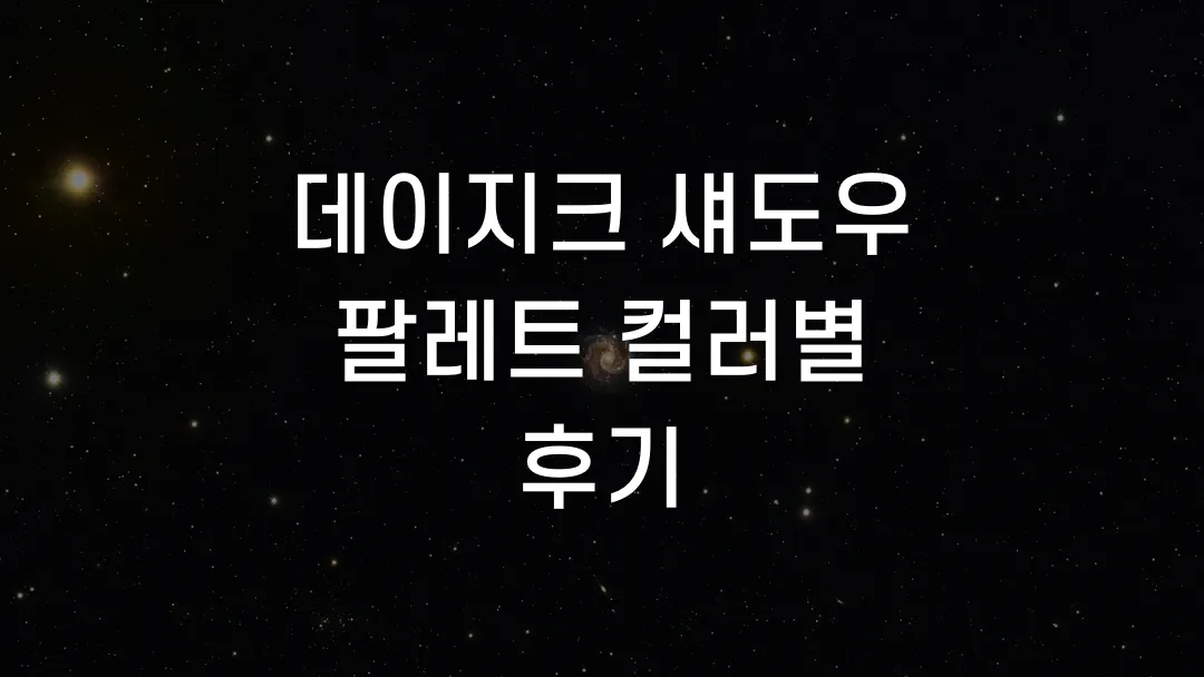 데이지크 섀도우 팔레트 컬러별 후기