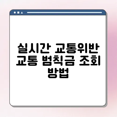 실시간 교통위반 교통 범칙금 조회 방법