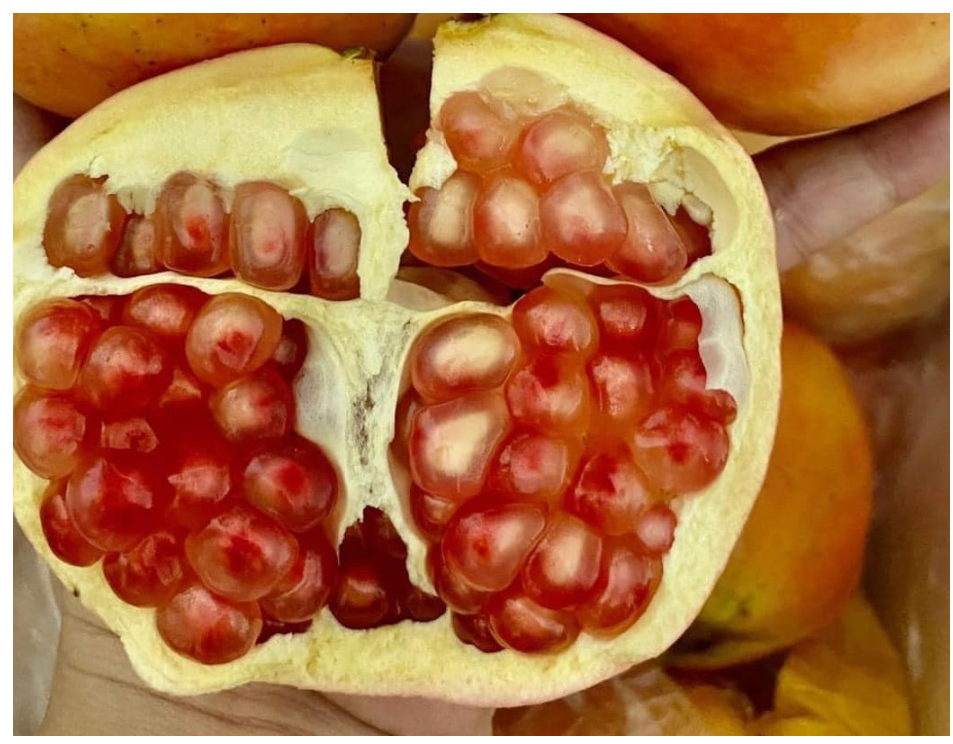 임산부석류섭취시 효능