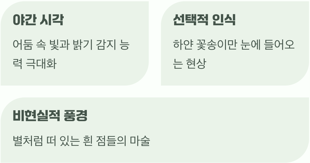 우리 눈이 만드는 작은 마술