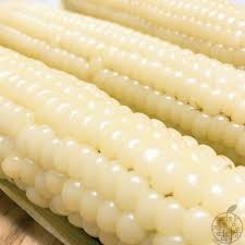 옥수수 맛있게 삶는 방법