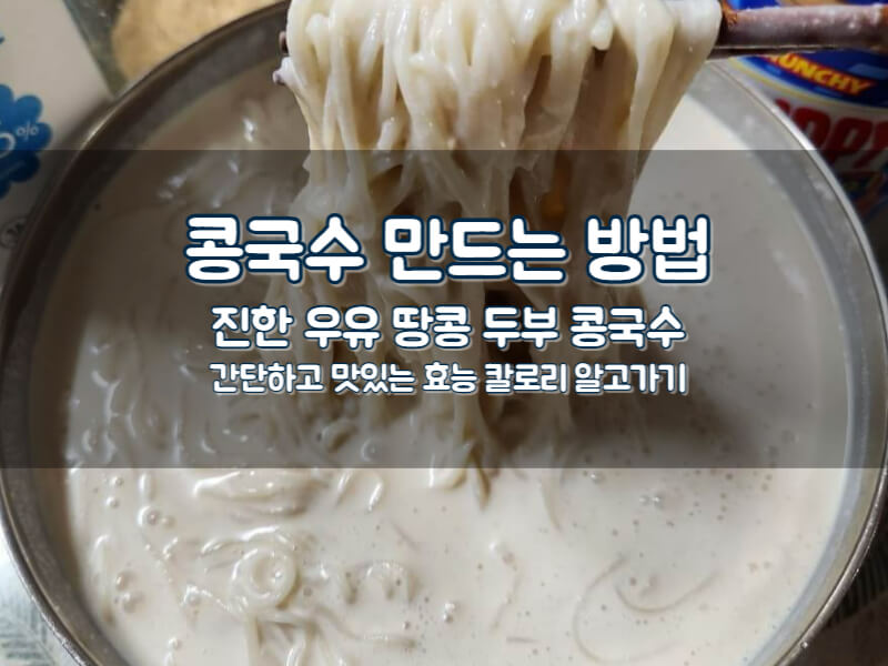 진한 콩국수 만드는 법
