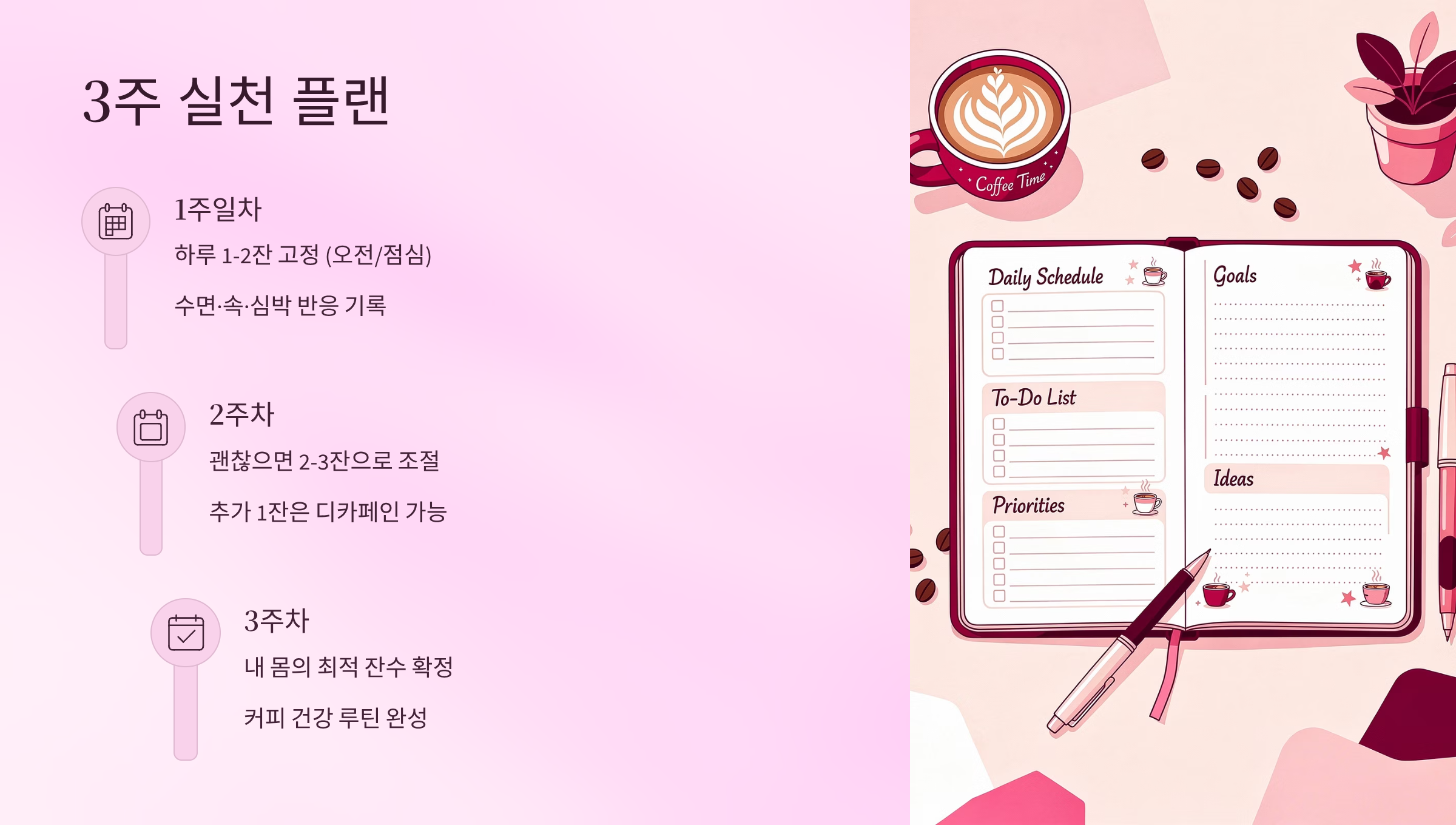 커피 하루 4잔 건강 효과 핵심 가이드