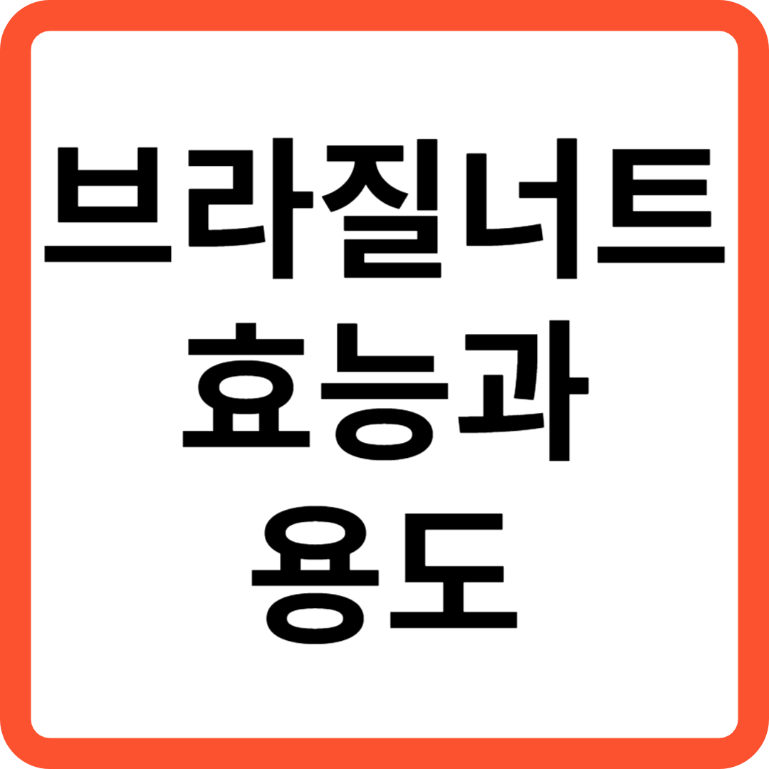 브라질너트 효능과 용도