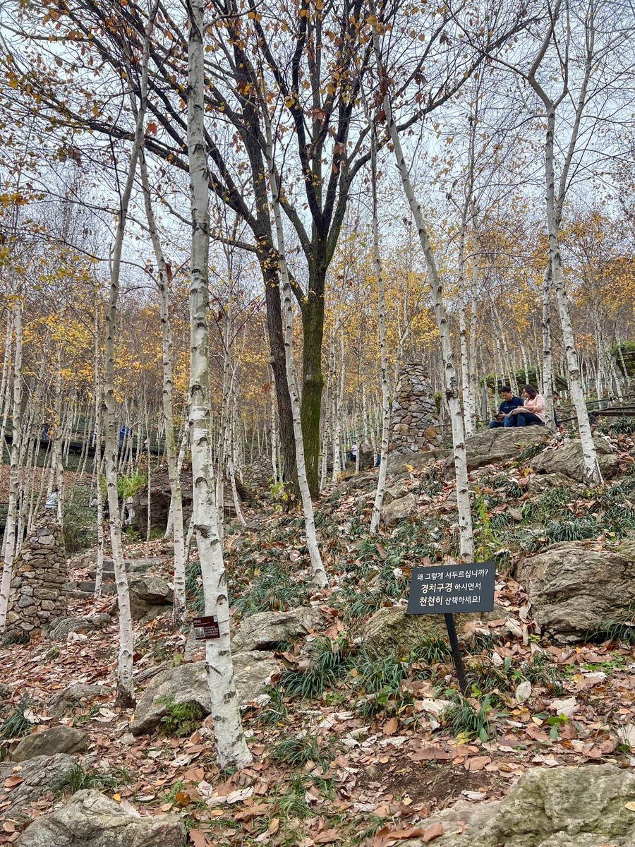 곤지암-화담숲-예약-전쟁-승리-2025년-최신-정보-총정리