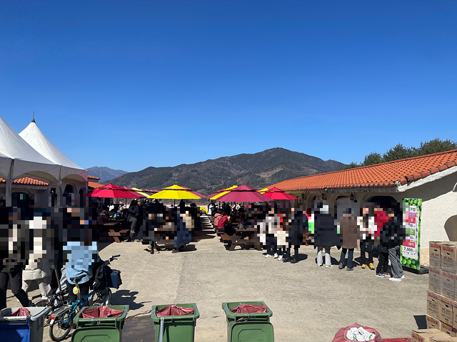 24년 광양 매화 축제 일정 요금 주차