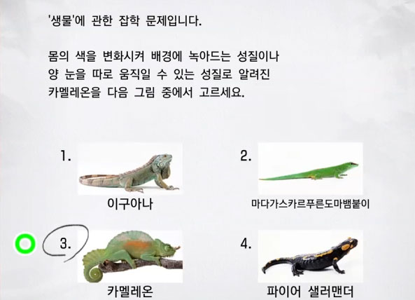 잡학 2급 3 이미지