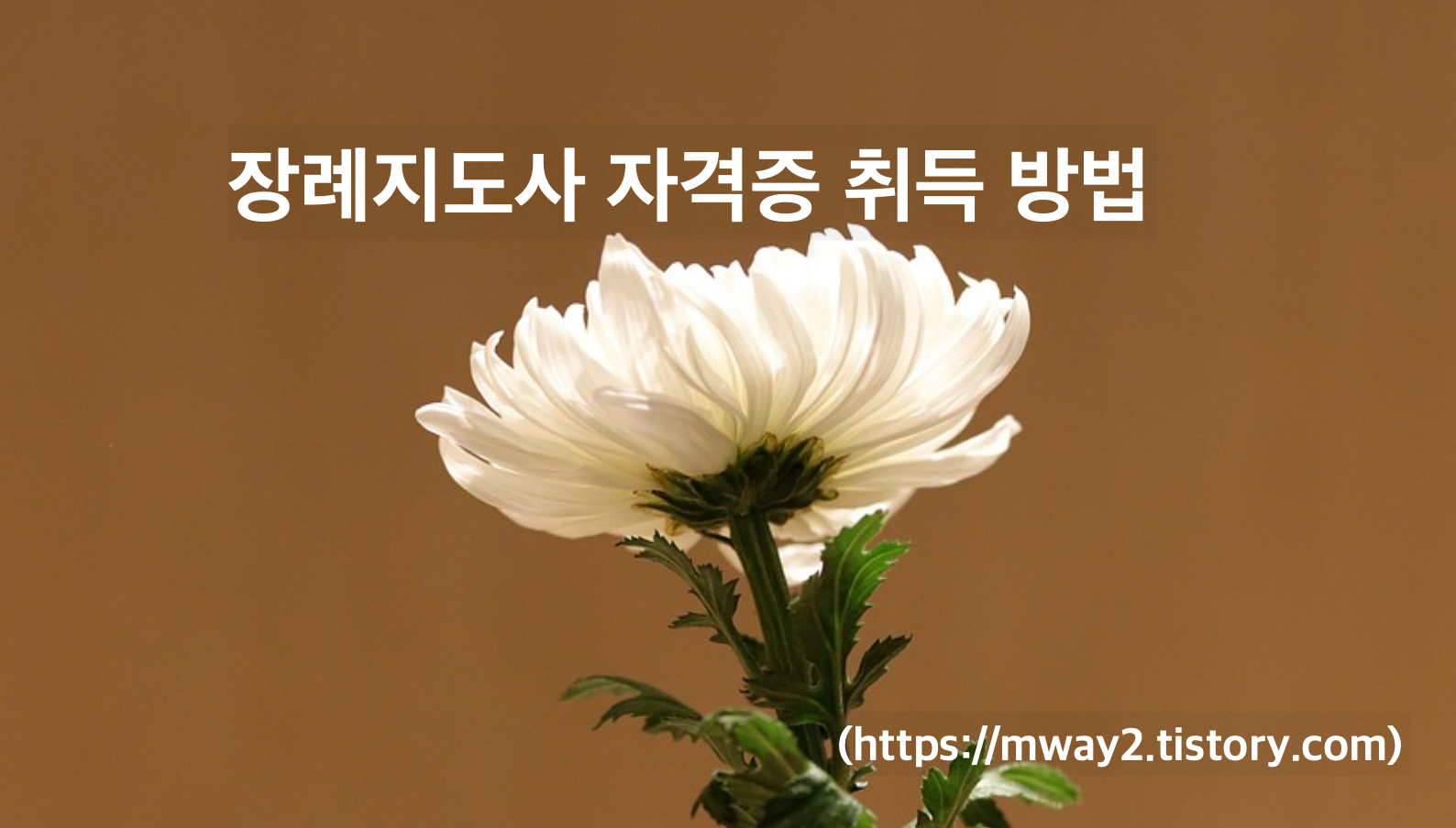 장례지도사-자격증