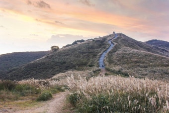 황매산 억새축제