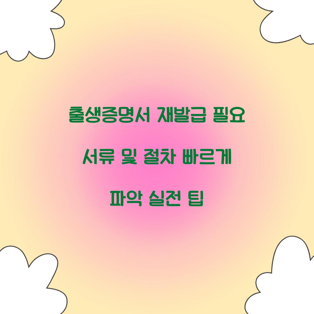 출생증명서 재발급
