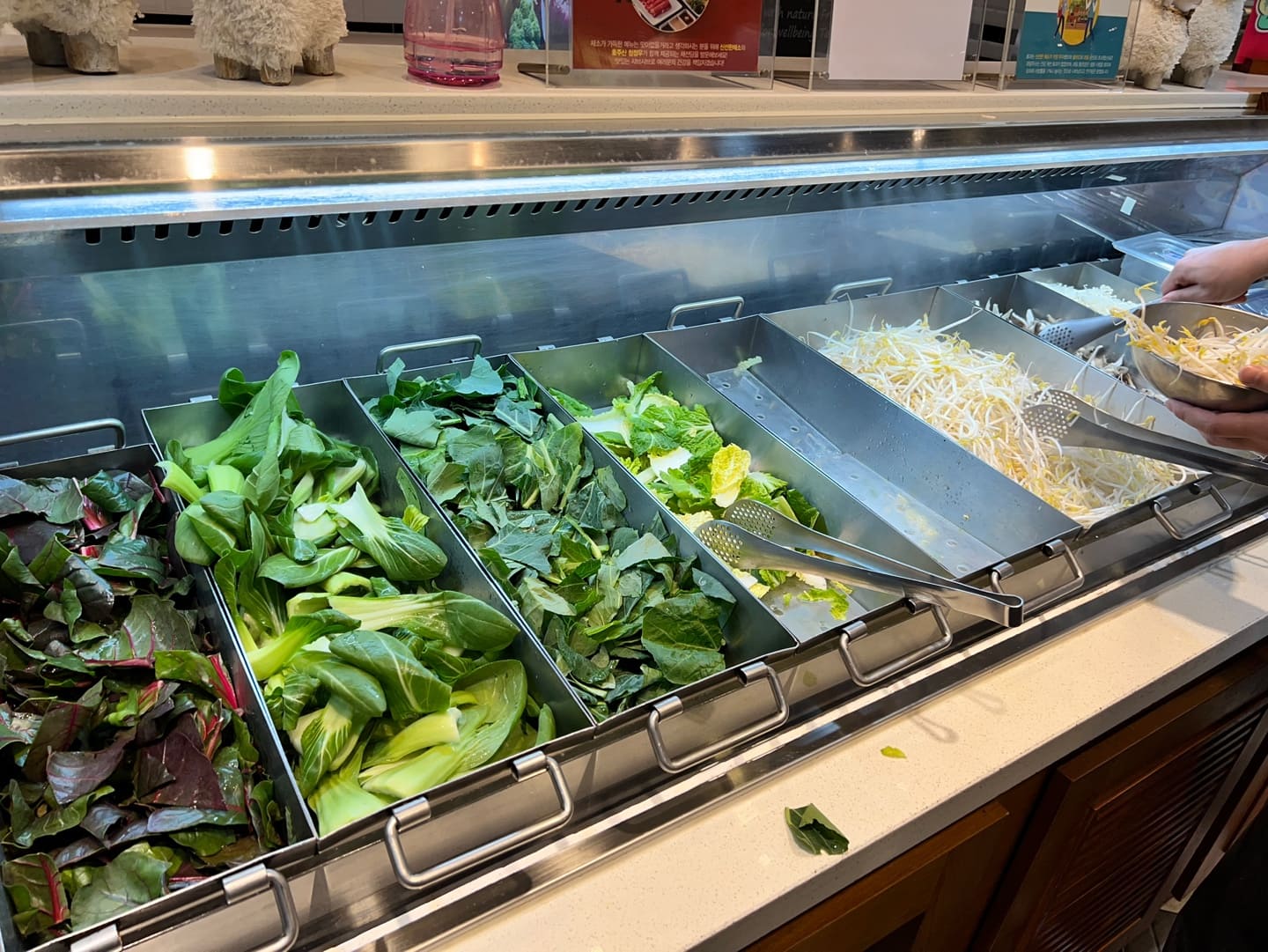 판교 샤브샤브, 채선당플러스 맛집후기