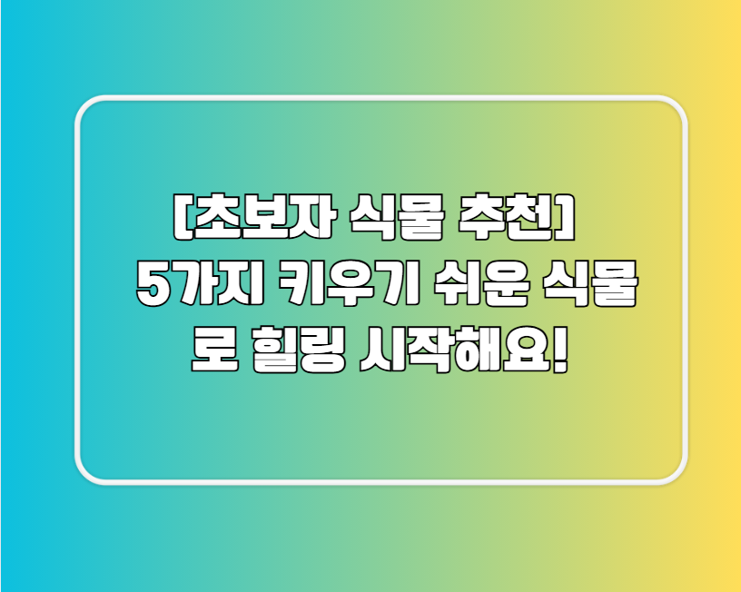 [초보자 식물 추천] 5가지 키우기 쉬운 식물로 힐링 시작해요!