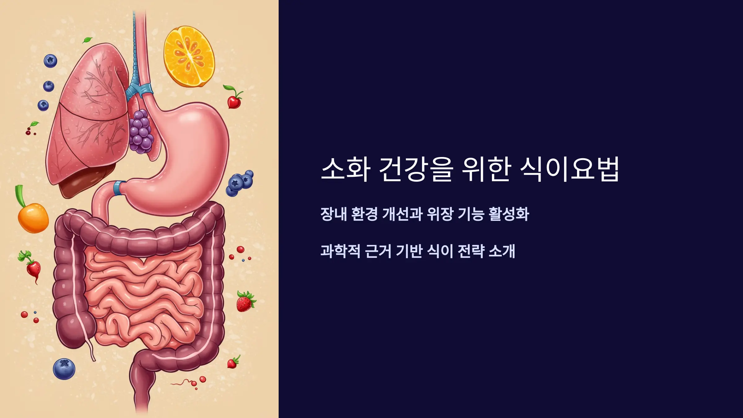 장 건강을 지키는 식이요법