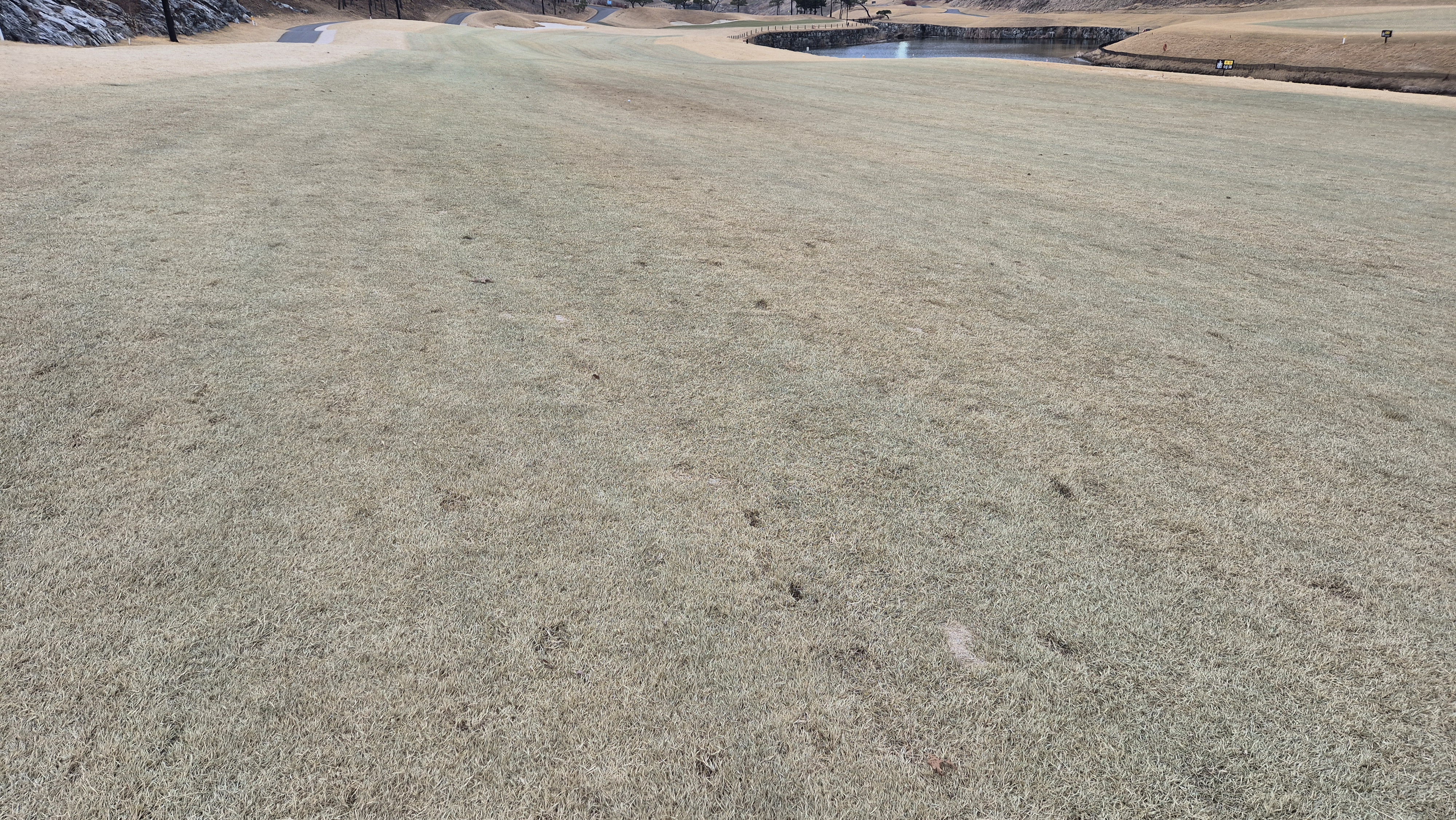 세현cc 코스 관리 상태