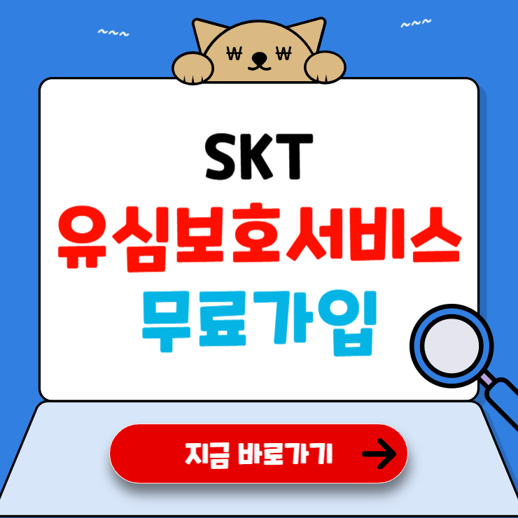 SKT 유심보호 서비스