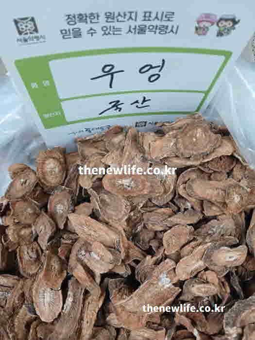 우엉 효능 먹는 방법 차