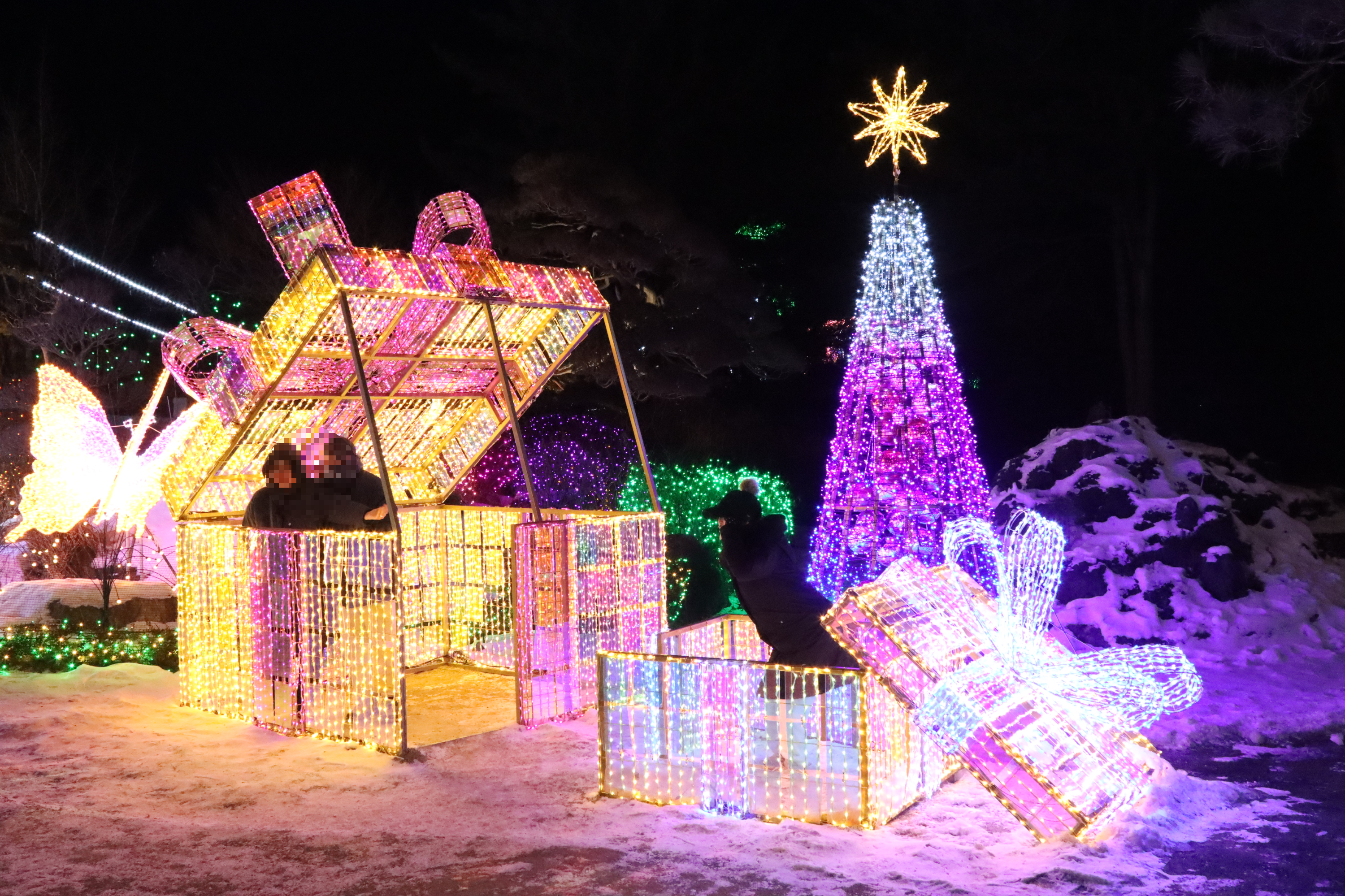 아침고요수목원