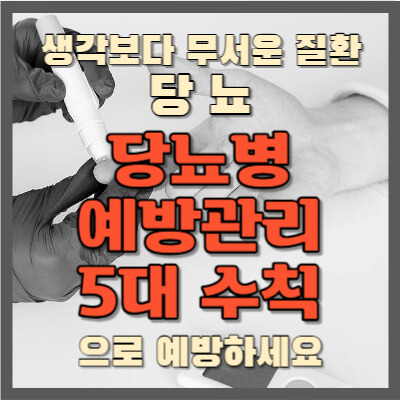 당노병-예방관리-5대-수칙