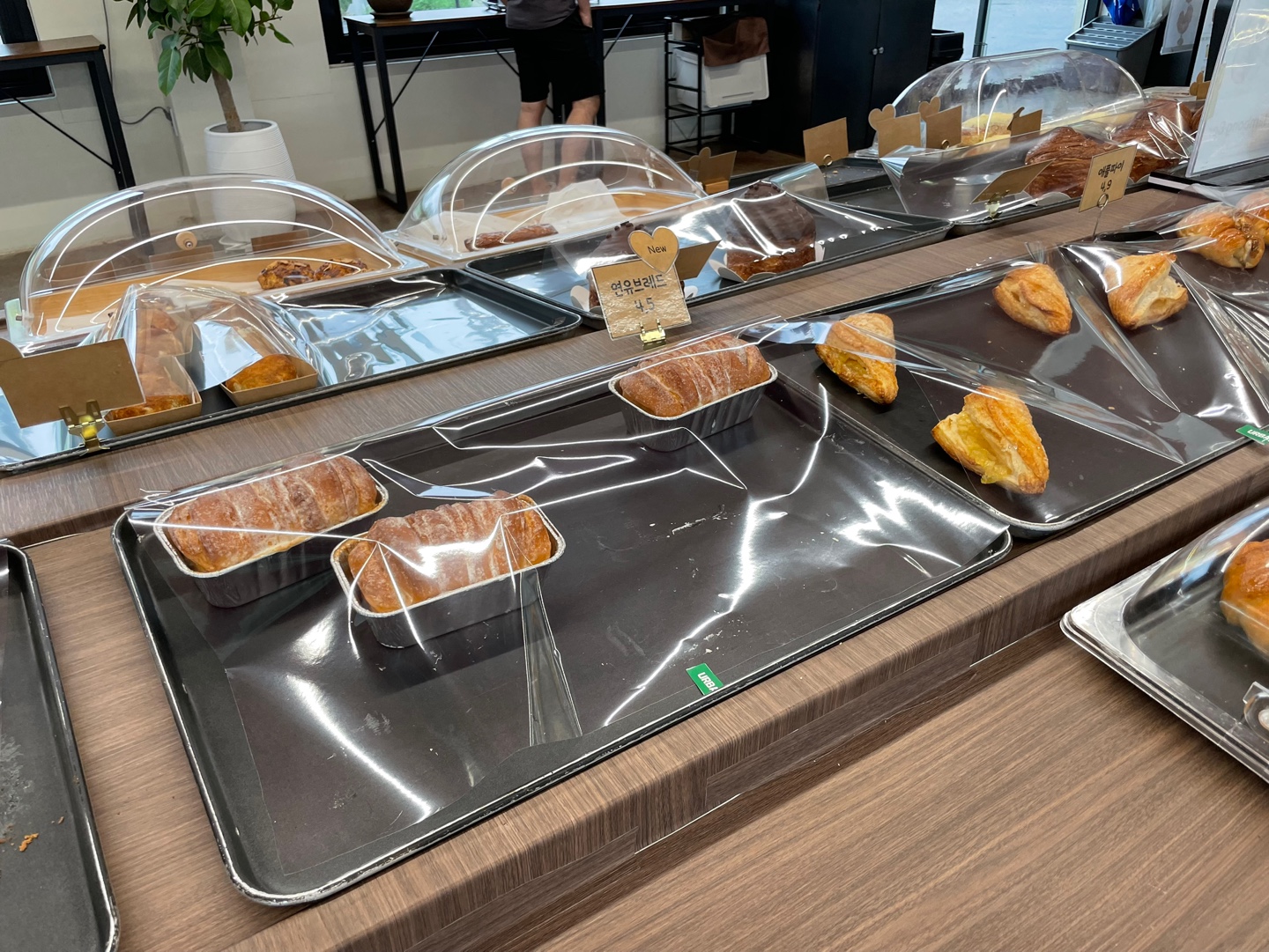 용인 식물원 베이커리 카페 어반리프