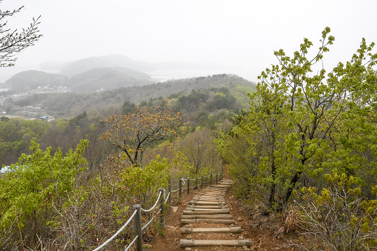 장봉도 트레킹 코스