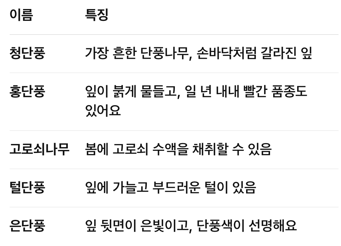 단풍나무의 종류