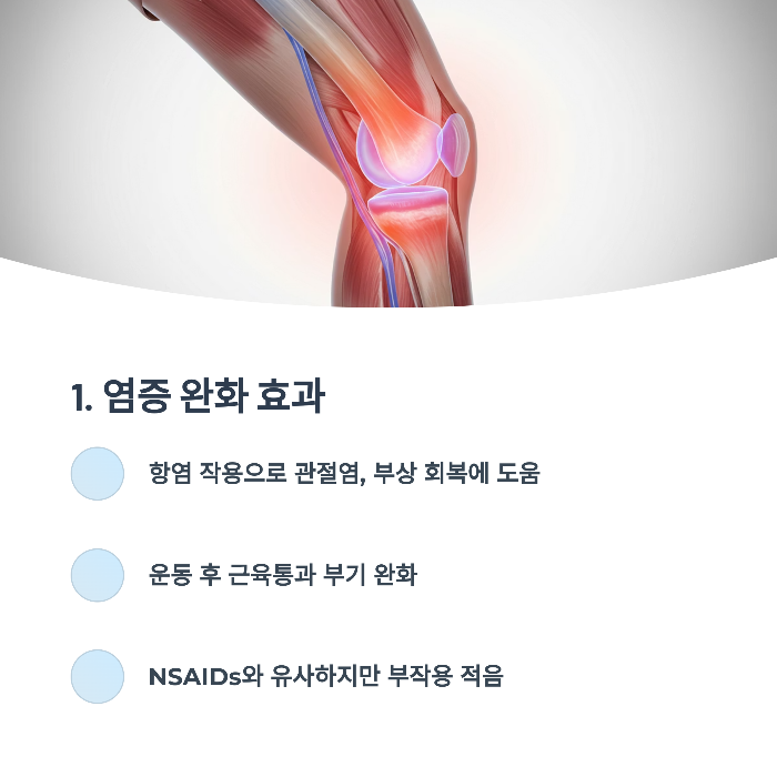 염증 완화 효과