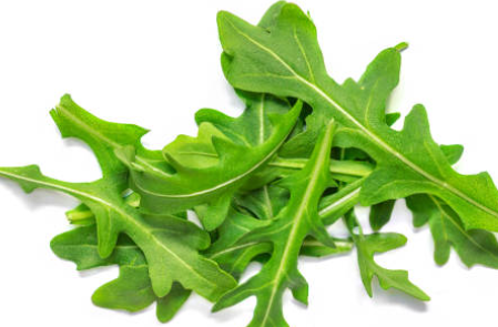 루꼴라 샌드위치