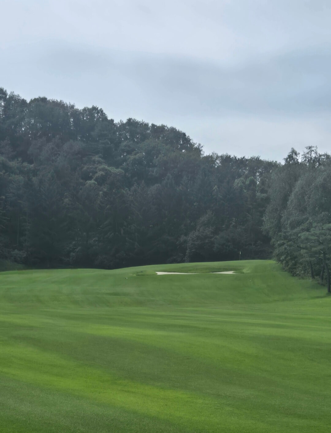 뉴서울CC 넓은 페어웨이