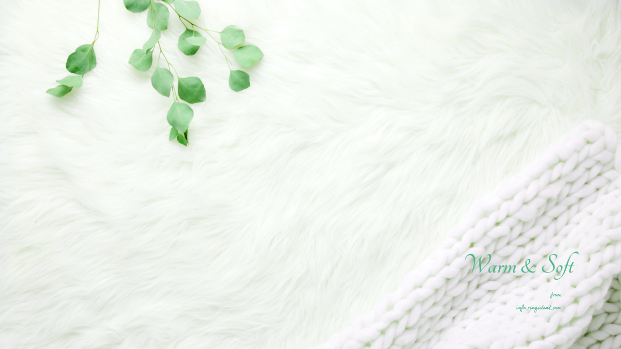 06 흰색 털 C - Warm & Soft 포근한배경화면