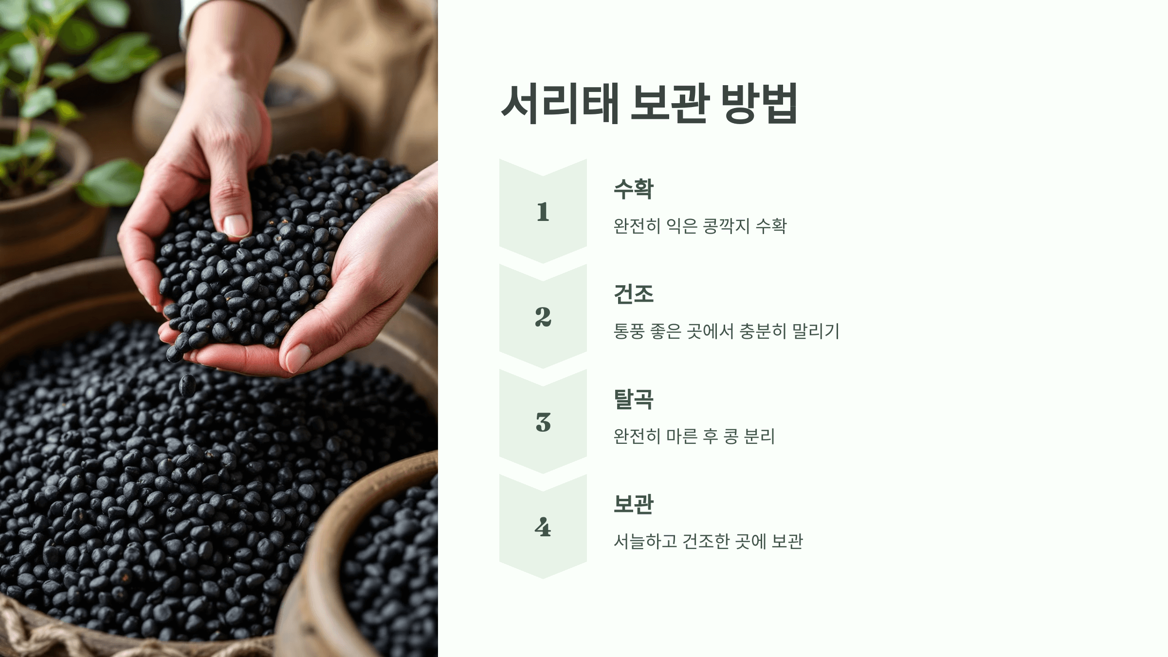 서리태 사진입니다.