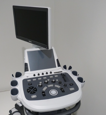 진단 기기