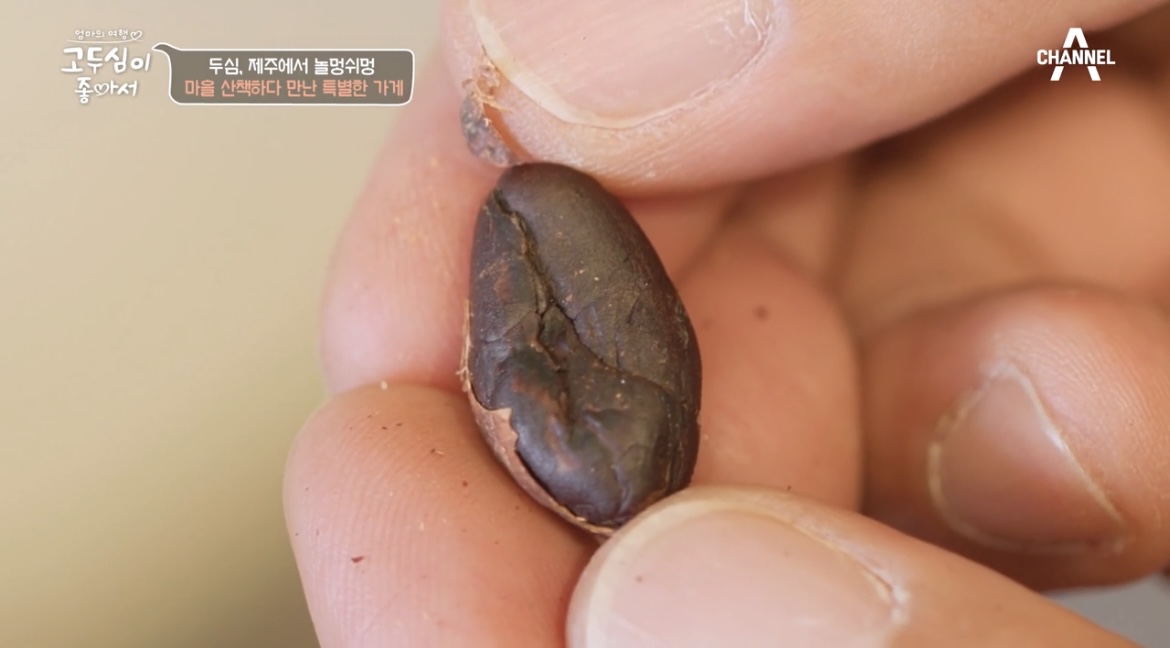 고두심이좋아서카카오