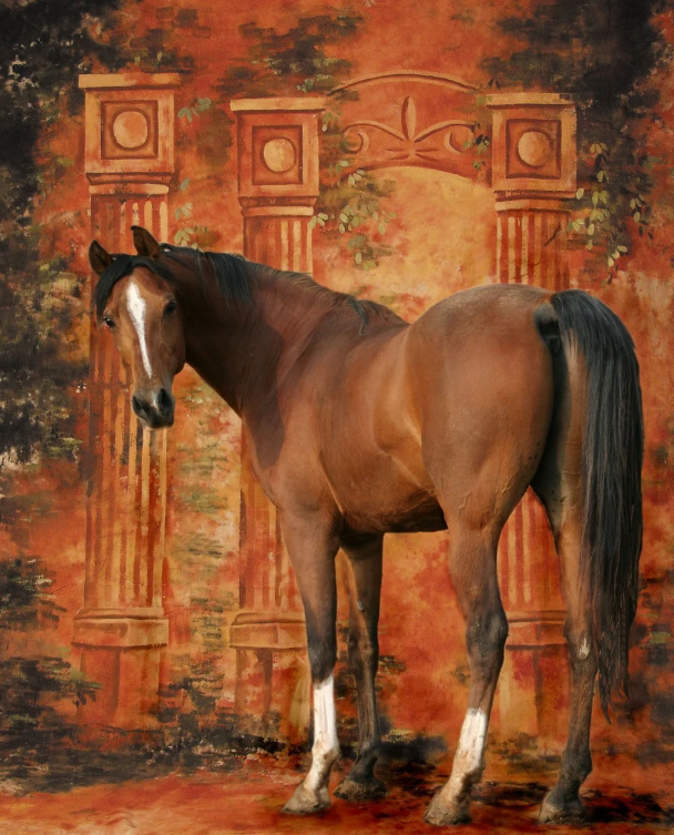 띠별 인간관계 특징과 주의점 – 말띠 편