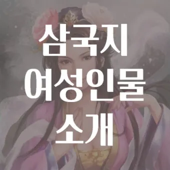 삼국지 인물소개 관계도 제갈량 손권_24