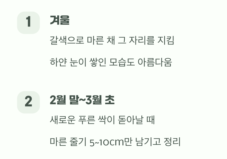 겨울의 약속, 봄을 위한 정리