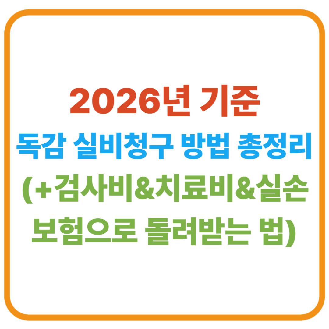 (2026년 기준) 독감 실비청구 방법 총정리 / 검사비·치료비, 실손보험으로 돌려받는 법