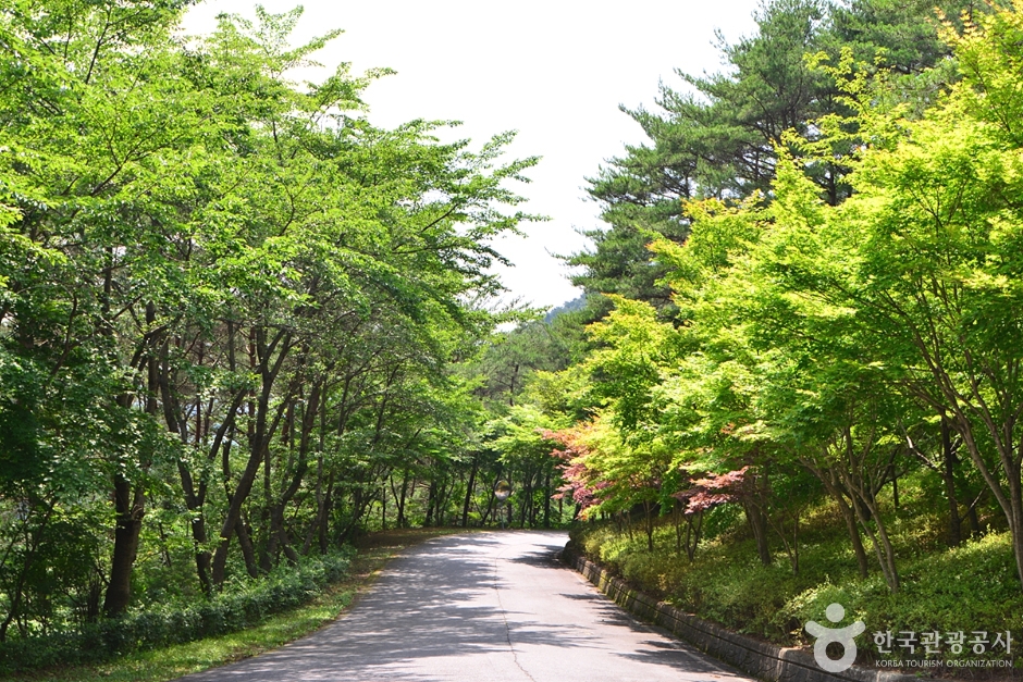 화순 가볼만한곳 베스트10