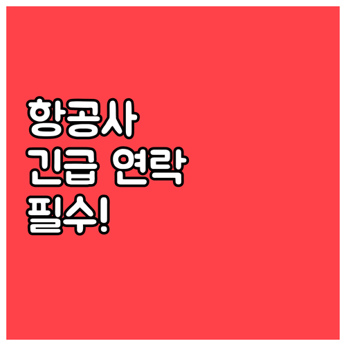 그레이터베이항공 고객센터 긴급 연락처..