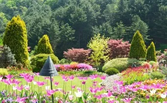 아침고요수목원 입장료 근처 맛집 펜션 추천_25