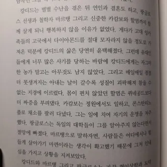 볼테르 캉디드 풍자 소설의 사회 비판과 철학적 메시지_24