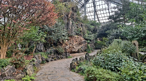 화성_우리꽃식물원_국화전시회