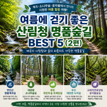여름에 걷기 좋은 산림청 명품숲길 BEST 5 (2편)